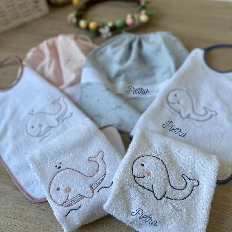 set asilo balena